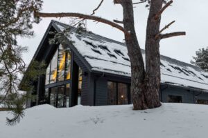 Miškas – ne fonas