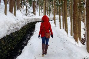 Why I’m Planning My Next Trip to Japan in Winter (& you should too!)