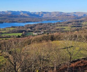 Trumpas, bet naudingas pasivaikščiojimas Lake District: Orrest Head, Windermere, JK